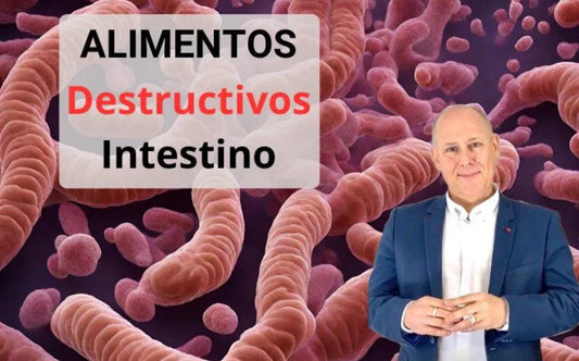 Los Alimentos que Pueden Destruir tu Intestino: Guía para una Salud Digestiva Óptima - NUTRACEUTIS | Asesor suplementos naturales